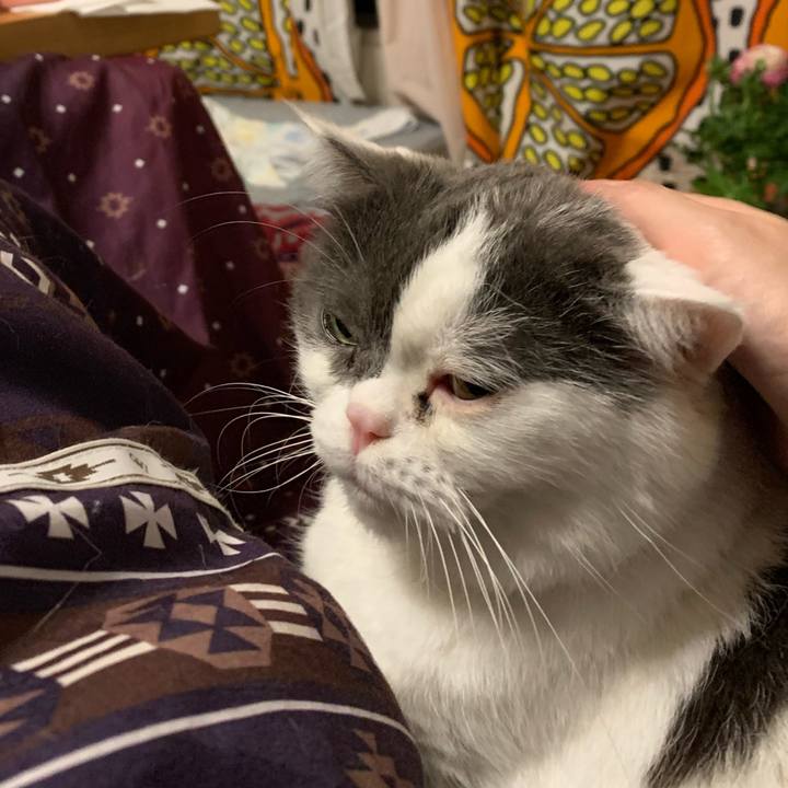 C88e948e 2fae 471c a3bc 8b5c5a435276 1584105491703