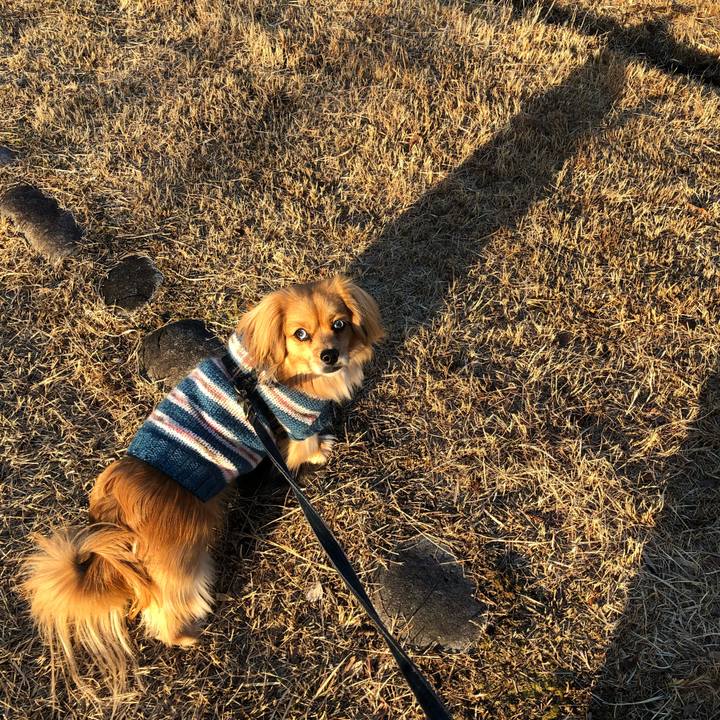 C88e95f8 3789 42c1 be33 85fa8bd799e0 1549763232780