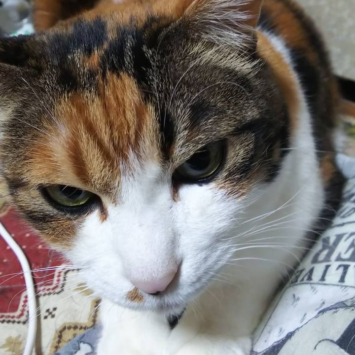 C88eb7dc e6f1 4a82 a083 c6abfd87488b 1581805172401