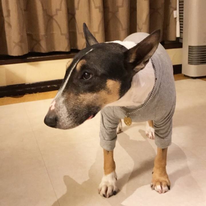 C88efb5b ac39 4ebd 928a 80ec5f5d115d 1510836079610