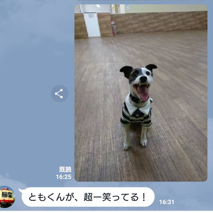 C88f0537 2cf0 4c05 bbc3 62dcb36d325d 1540020863609