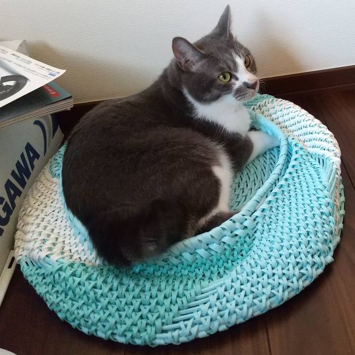 C88f0e00 1444 4894 9bd9 388206d804f3 1623274382940