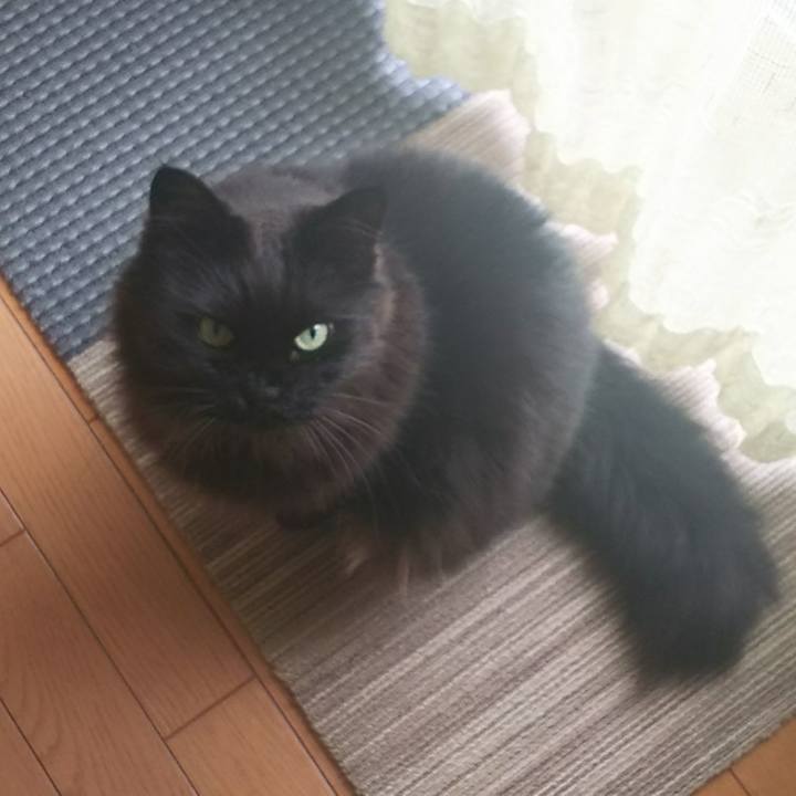 C88f2c0e 5211 43f1 902f 3155154d866e 1526700741152