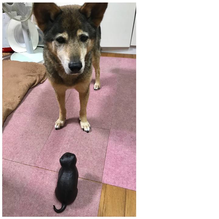 C88f4d62 3355 4679 9f66 b62cf3963baf 1528708208109