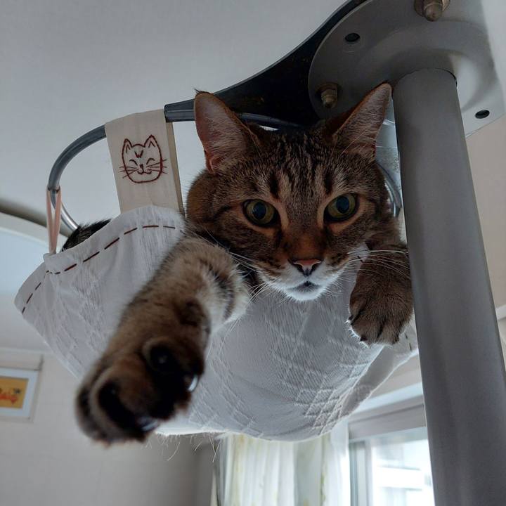 C88f9b6c 55de 4aeb b95f dfdecf2778fc 1688280005515