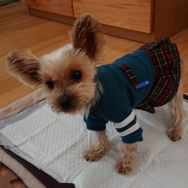 C88fc536 c671 4d0c b5a3 062bdfd47d21 1577771391052