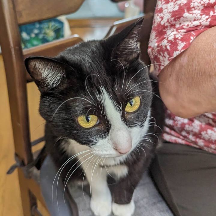 C88fd6d6 84da 43f9 ae7f 608c4e6d7dbc 1696130733131