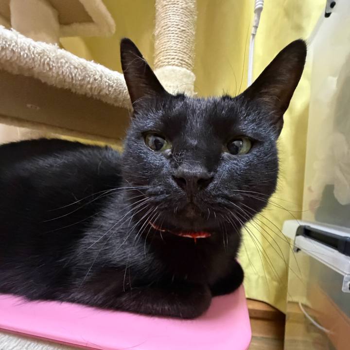 C88fe65f 3b77 4158 abc8 bef671697ffd 1770563563414