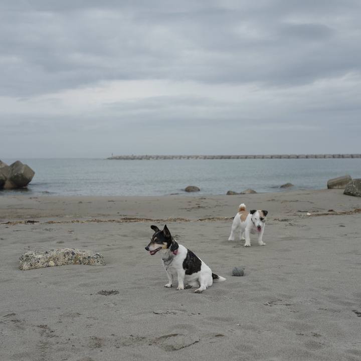 C88ff3d2 871e 443c 99e9 2128e658cfd8 1561782788409