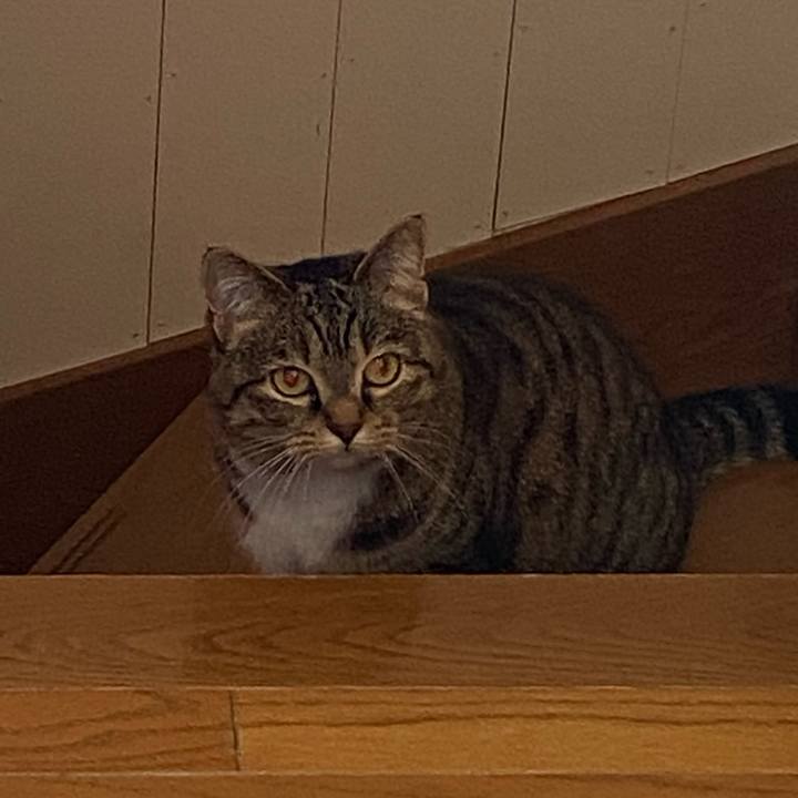 C8900e52 d673 4ea2 bce6 2fd8d8e20a01 1616806363144