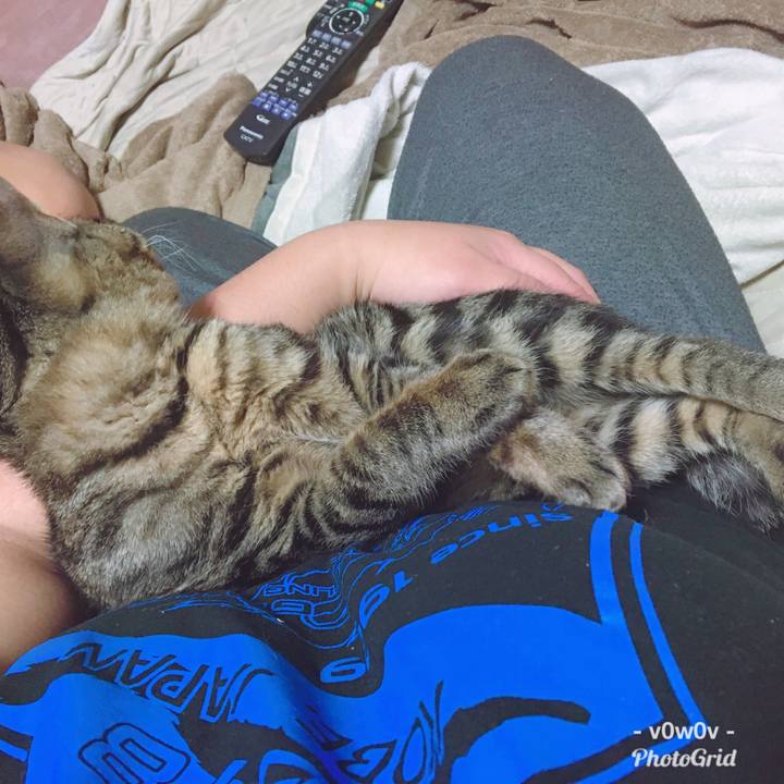 C8902203 7979 49b5 af7c 9189a95147c6 1545983040160