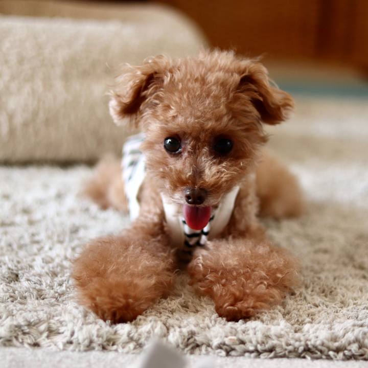 C890436a e7c8 4e3a a63c 44b091a2952b 1596701079284