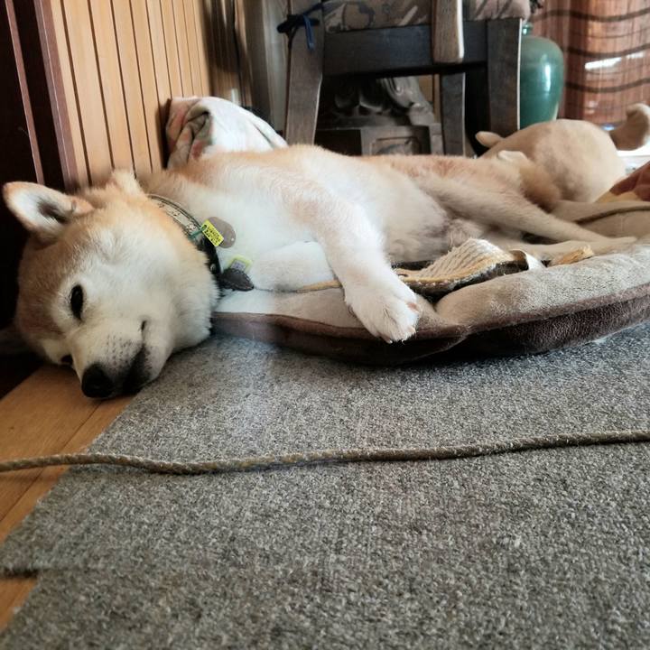 C890717d c2ce 4c30 9b25 81e069351ef1 1659144059095