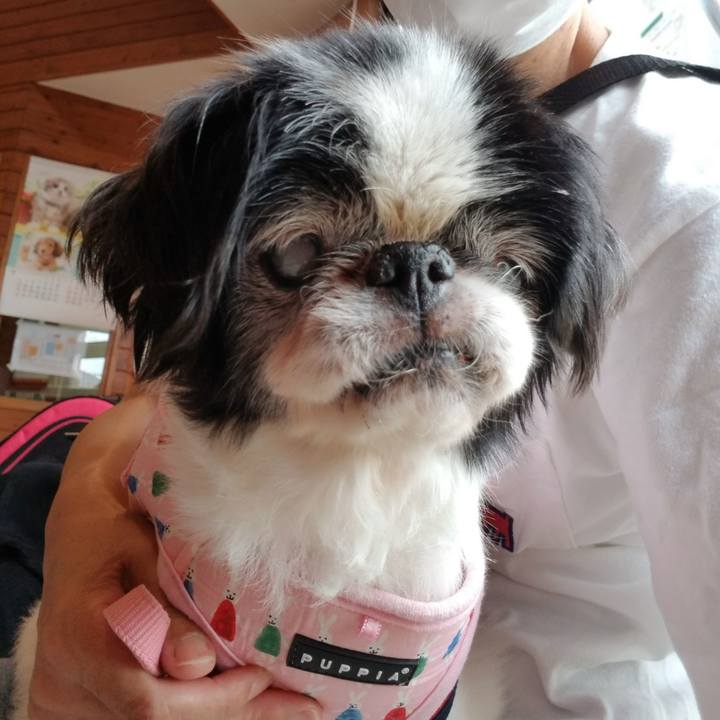 C89075dd c712 4036 80c7 210804bf38d1 1629517705822