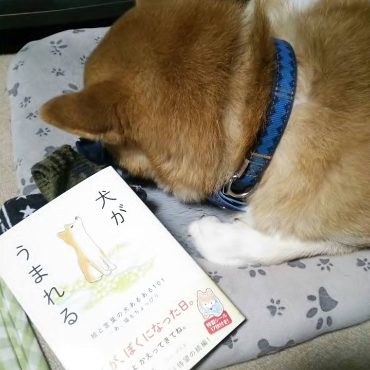 C8914a6f 3c19 4562 b99f 9d7c89be8f0e 1538036083895