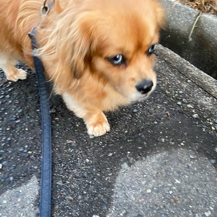 C8914b8a dfad 4e28 89b3 61efc6b329df 1578523454085