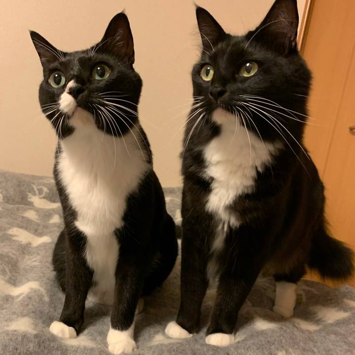 C89161fb 81ae 40ee 8306 24c43ea8a5c7 1573010715788