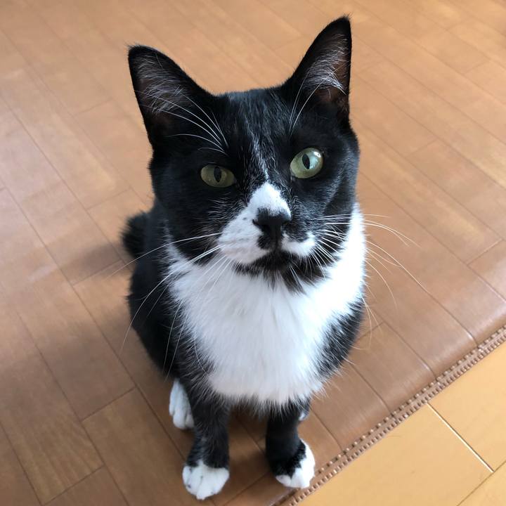 C8916c47 9742 464c 9b56 fa5e2ddab943 1568778626909