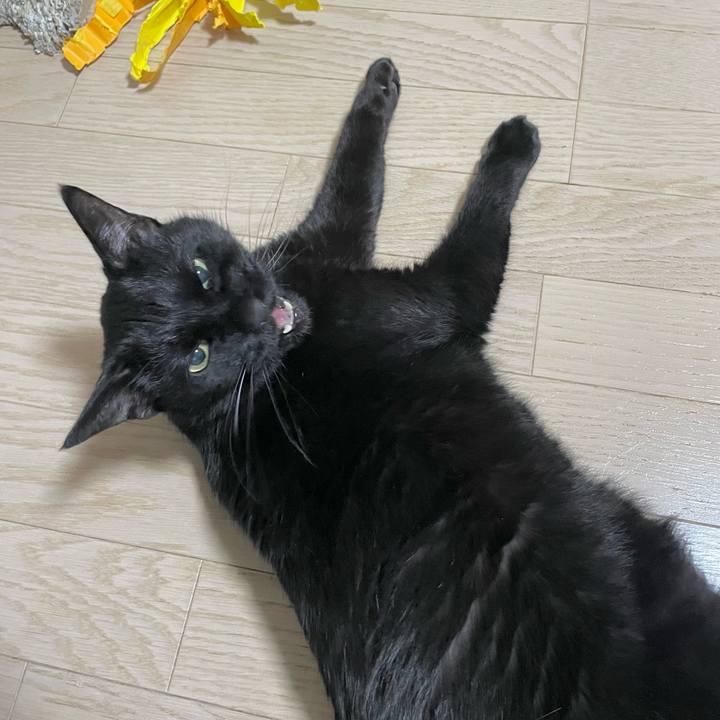 C89173ca 6484 4503 bcb8 58d89f31b985 1705581693996