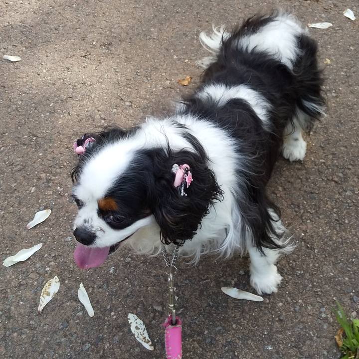 C891ad56 93a8 4b8c a52b e8b38a9921ca 1556499149976