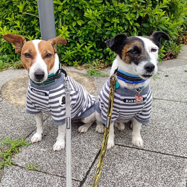 C891f074 7bde 47e8 bebb ae372ff0aa9b 1686353811467