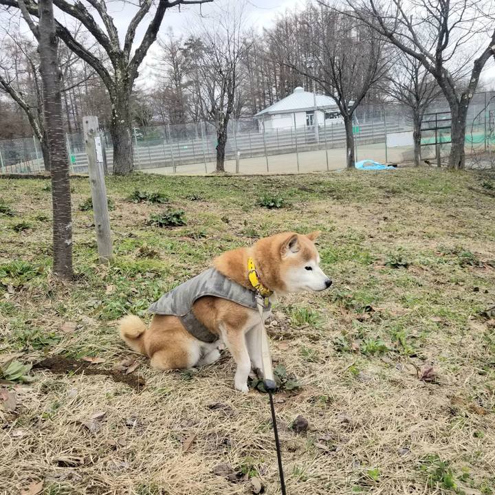 C891fcb9 97a2 4ab7 87e0 2917593f4215 1679890090819