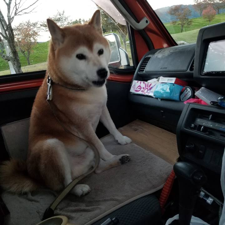 C892024b c210 4272 be5a 943e771d90db 1666253306931