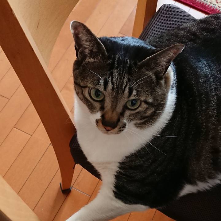 C8922abc e523 4d07 af70 d64d2dc8d04e 1522060860565