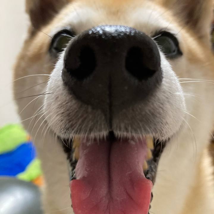 C8923d57 a9aa 4418 adaa 67d2a8274339 1632309366007