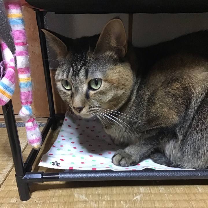 C892b7fc bb2c 4f67 9266 120a7af86014 1638003065294