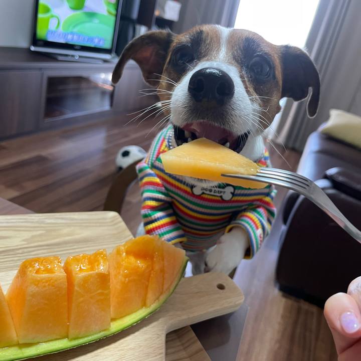 C892bff6 b6f8 4bb3 905a 12aad802ac4a 1692934700960