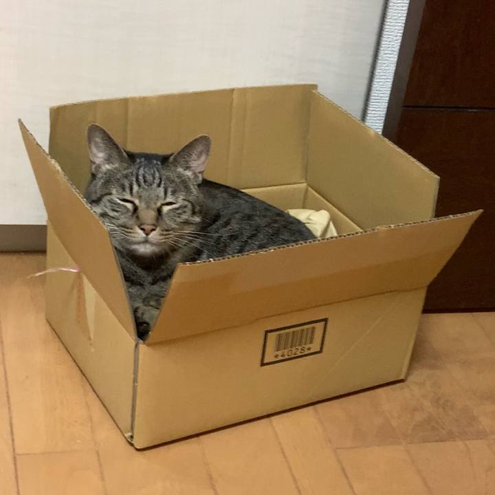 C8932e11 c6d2 4fac b58b 24a61406f97d 1664051362360