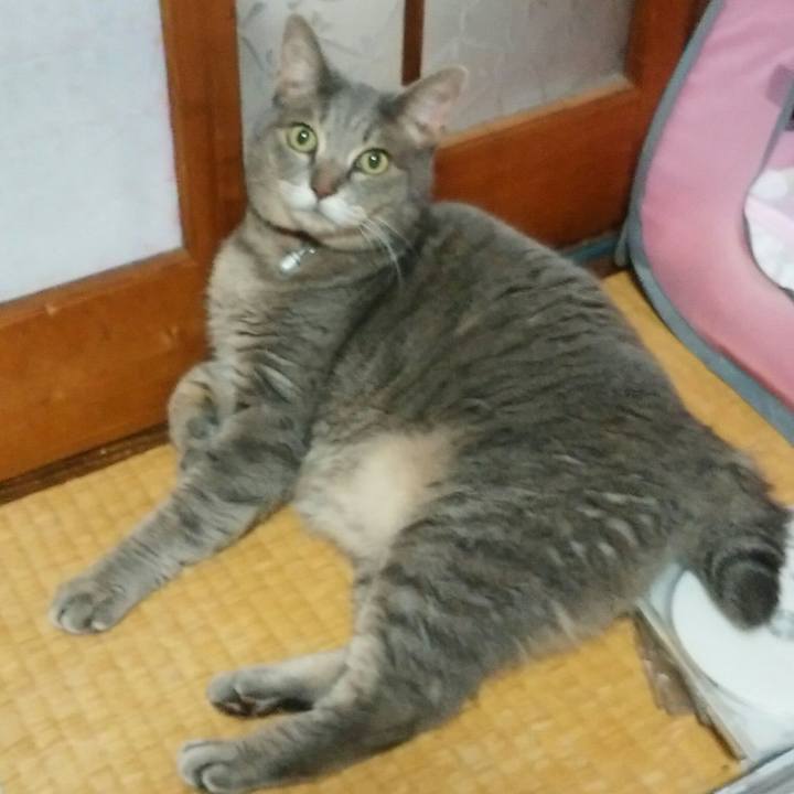 C89339c6 9314 4ae8 8a4c 7843cd958ff1 1530825922474