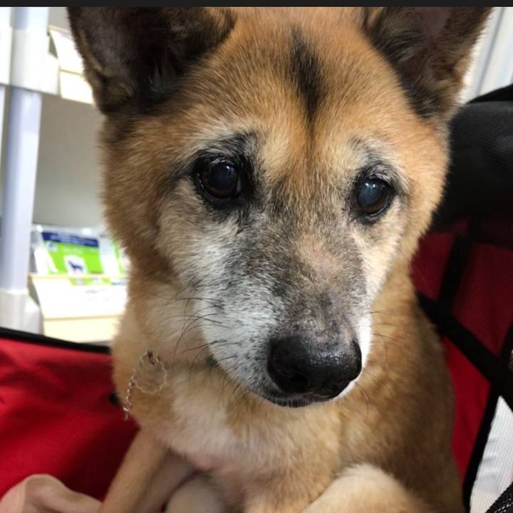 C89365de f4f1 45a2 85c3 41aa1b955f3c 1545214558941