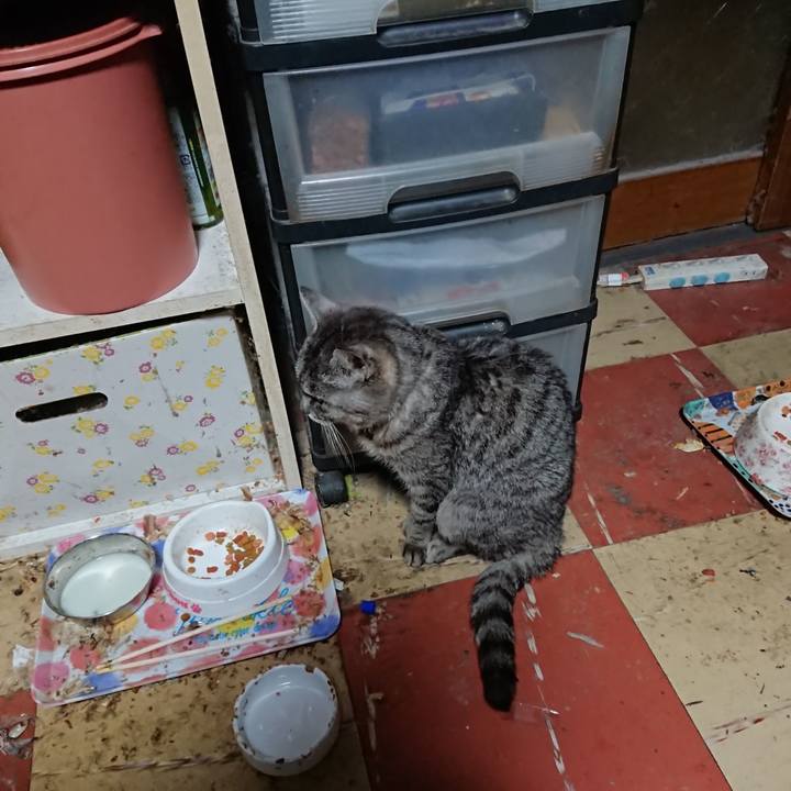 C893bf2c bdeb 4e9e 8f85 e84d6ca14e54 1581882482860