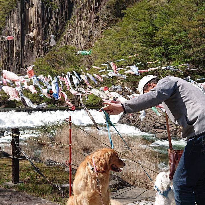 C893c64d a40c 4a12 ac0c 976856fb4e6a 1557244206629