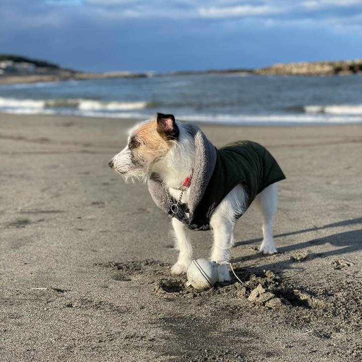 C8940ce1 92bb 48d5 af74 71b82ac8e6dd 1614209691400