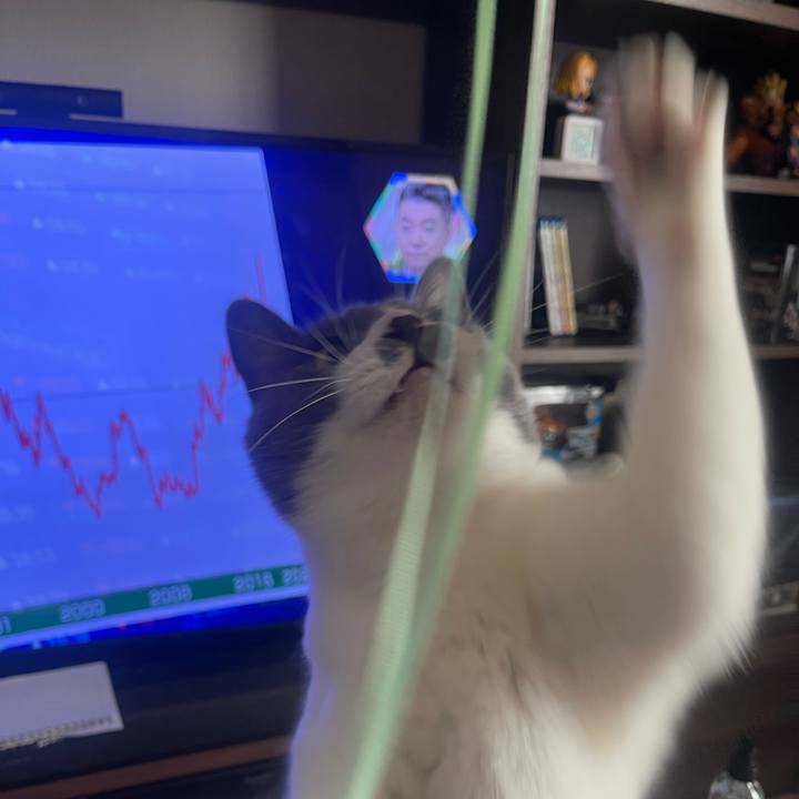 C8940e98 a2d8 4f0e b2ca 8269705b9f6d 1688181943210