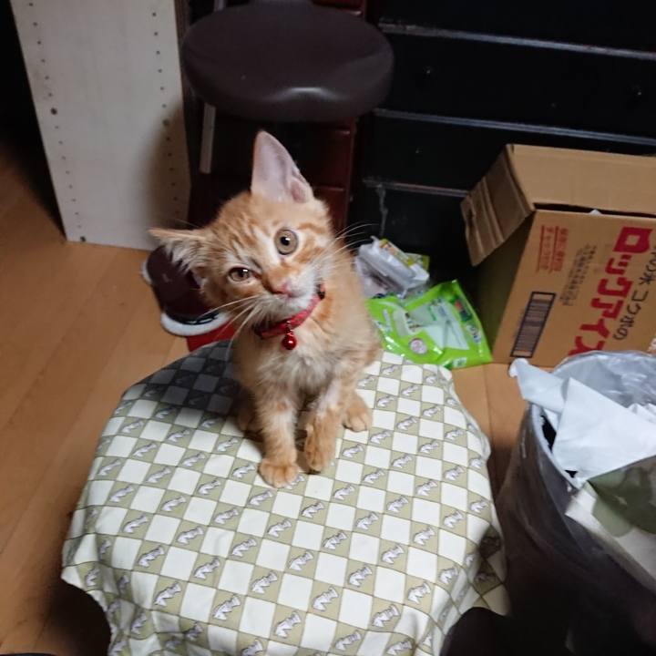 C894226c 2eed 4929 9342 31910581d775 1628886457883