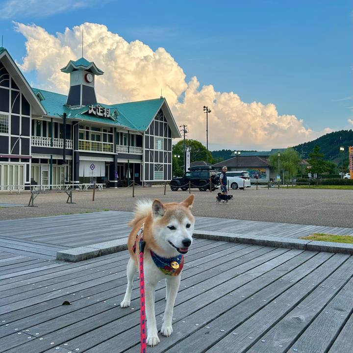 C89437ac ffb0 4184 b05f ed51c652f029 1754737780328