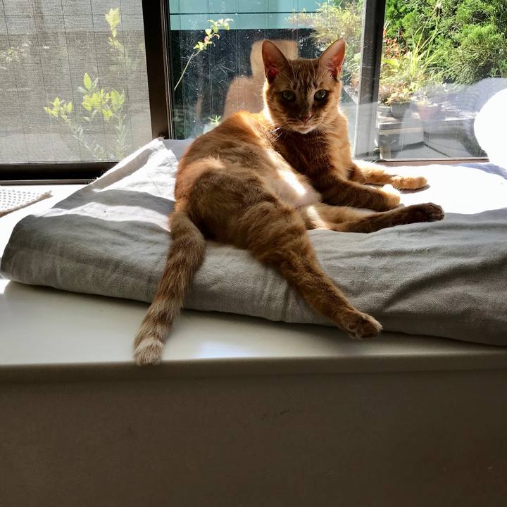 C894380f 5cbb 4695 a9ae ba232ecffbe3 1570589359419