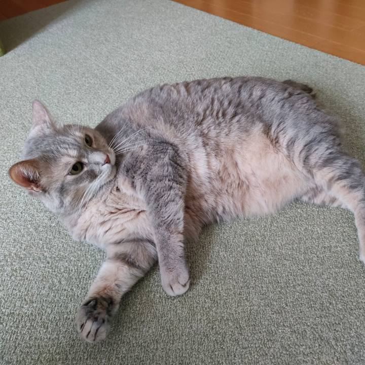 C8944793 59b8 408e 9c64 25928aa775fc 1758526296647