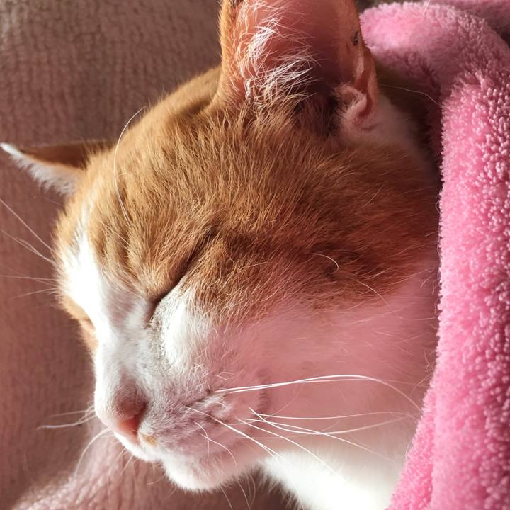 C8945c41 cf51 4504 8152 57a23e4f143c 1576472791424