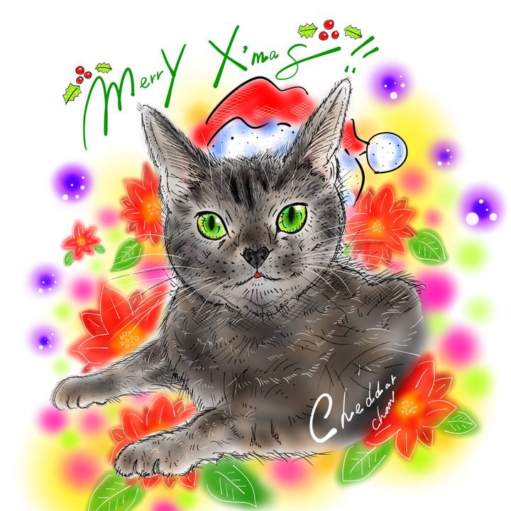 C89473ea a2c1 4cad b90c 19e9d5c66917 1640352163737