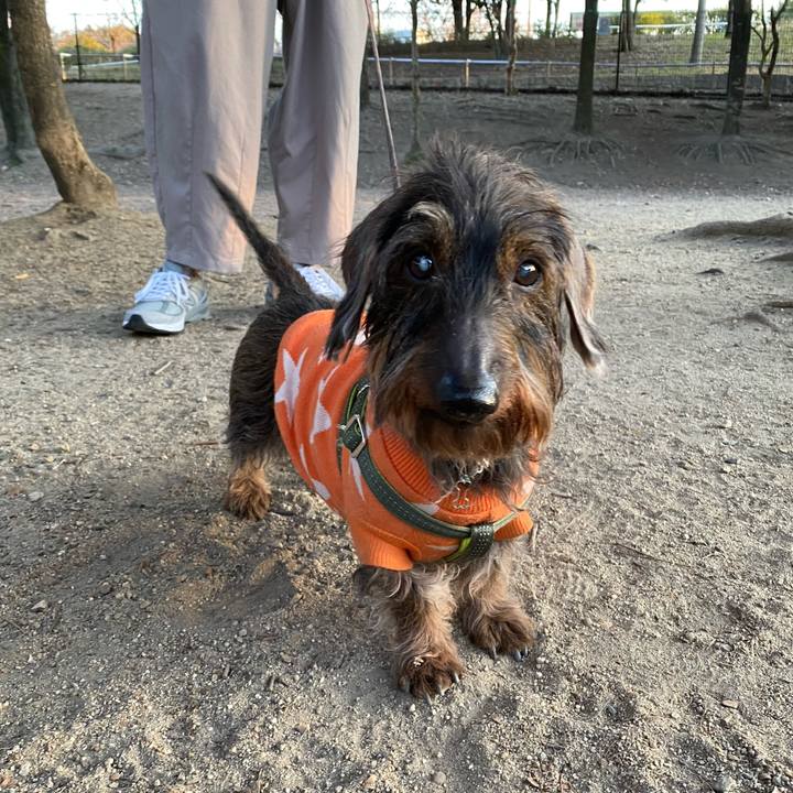 C8947fc7 309e 4730 b7f3 257b1a74744f 1644674189419