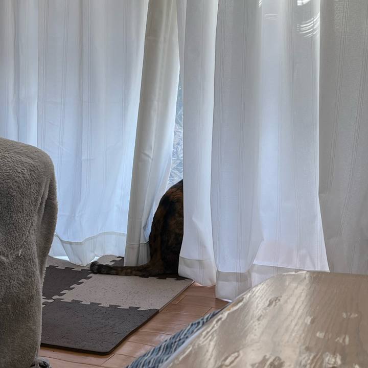 C8949003 1a12 4aef 89f4 290c553d88c8 1711491961360