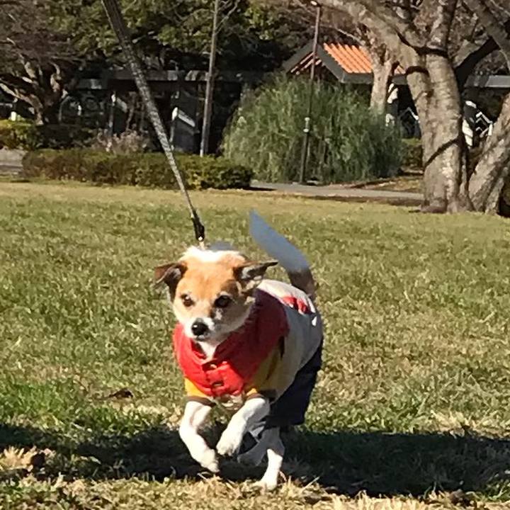 C894ebbb bd2f 4127 9185 aee3a7113c61 1546140179692