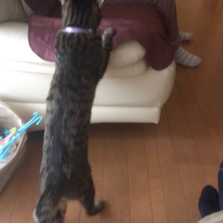 C8958ca2 7be8 4f30 8762 a9652650ad28 1584880963853