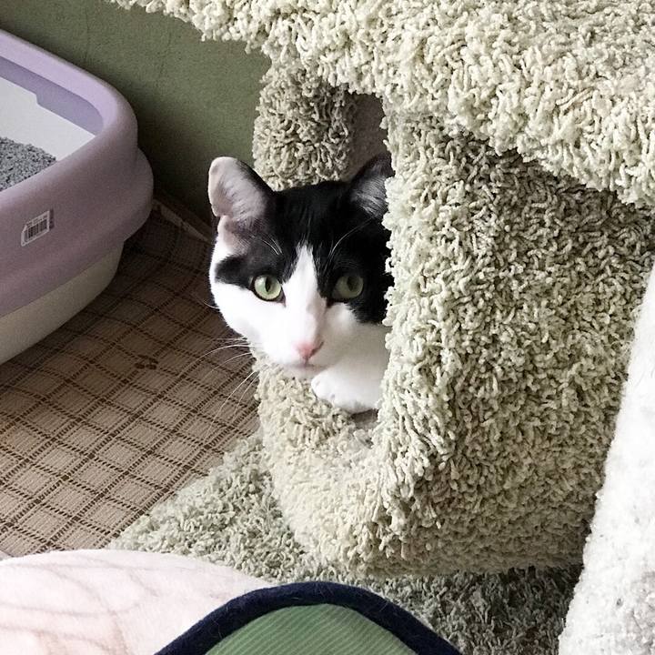 C895927c d0f2 495e ab04 80e103186da3 1526484081585