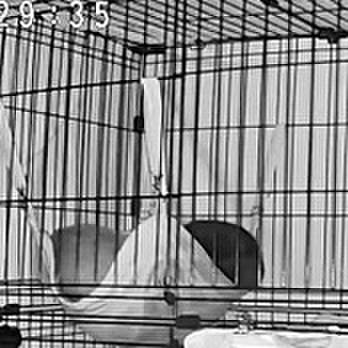 C895c1d5 db34 4c0a 85c2 7ccc70186a57 1738787501977